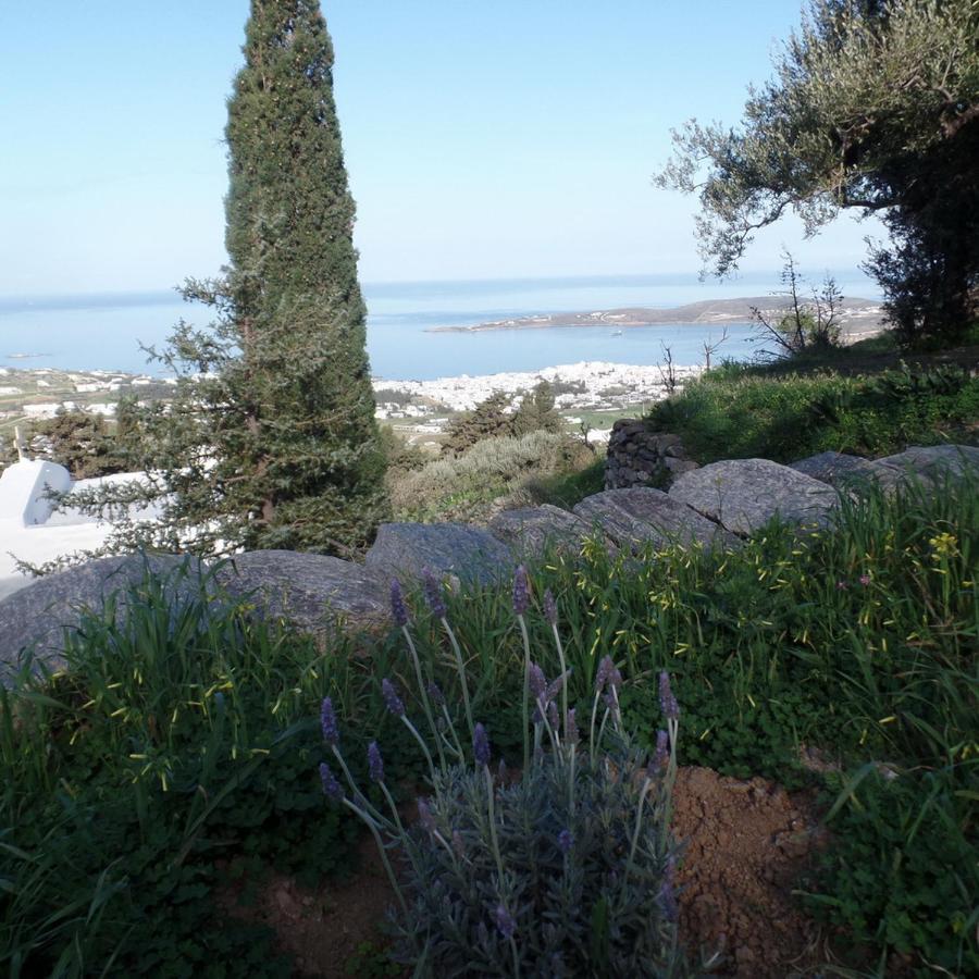 Paros Apartments Cottage Exterior foto